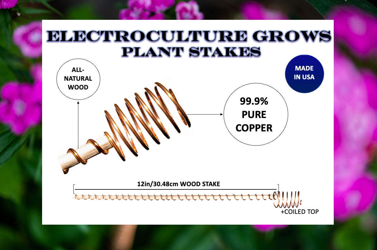 Electroculture Grows Antenna Electroculture Plant Stakes Pack of 5 - 1